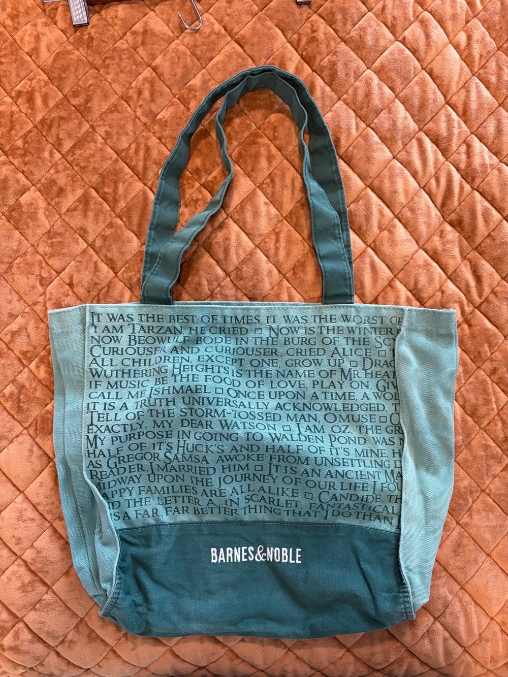 Barnes & Noble Teal and Light Teal Book-Text Canvas Tote